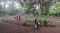 Familienfest lockt Groß und Klein ins Gartenlabyrinth